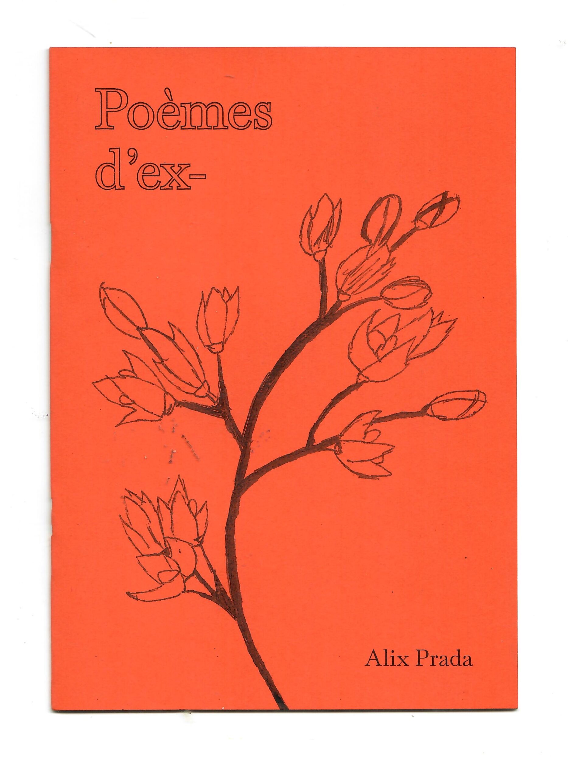 Recueil de poésie –  Poèmes d’ex- (éditions How To Become) - Alix Prada